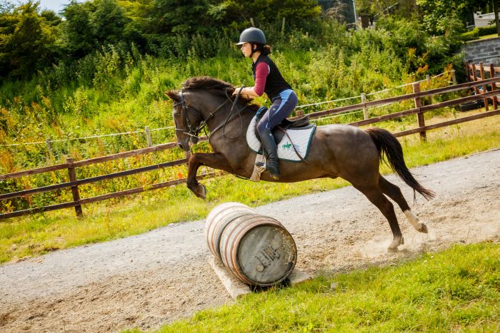 Englisch Lernen und Reiten für Jugendliche