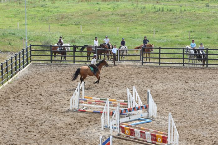 Englisch Lernen und Reiten für Jugendliche