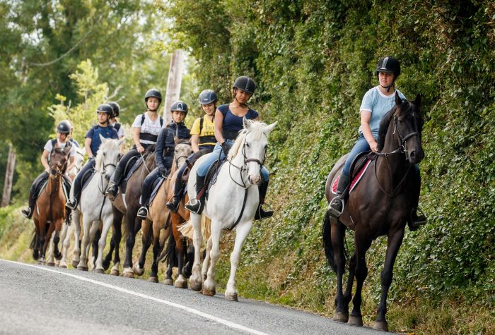 Englisch Lernen und Reiten für Jugendliche