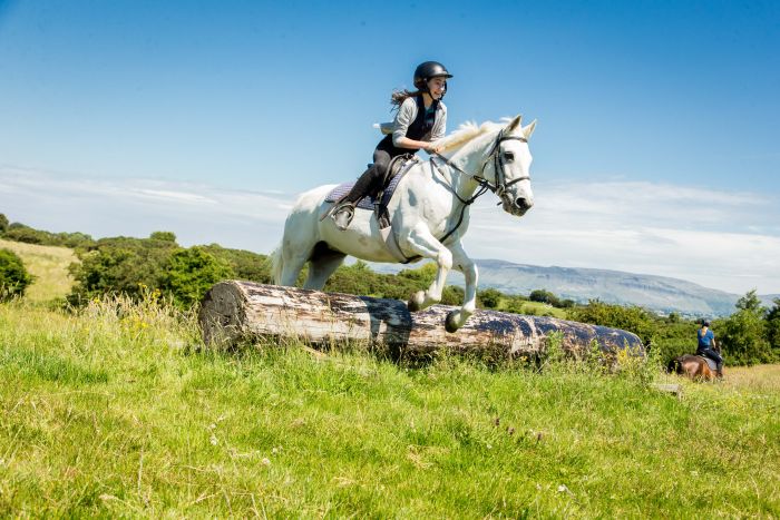 Englisch Lernen und Reiten für Jugendliche