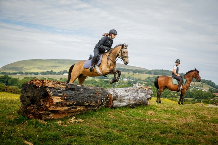 Englisch Lernen und Reiten für Jugendliche