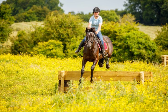 Englisch Lernen und Reiten für Jugendliche