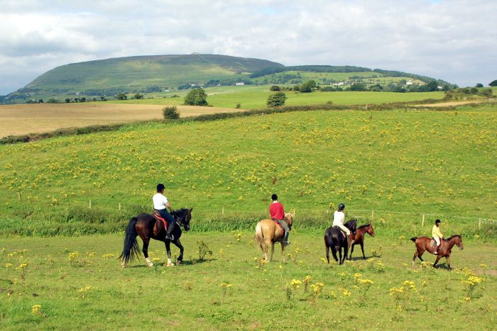 Englisch Lernen und Reiten für Jugendliche