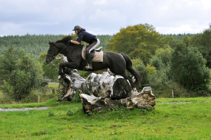 Reiterhof im County Galway