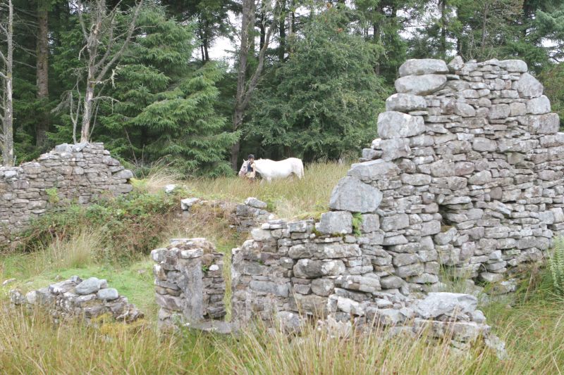 Reiterhof im County Galway