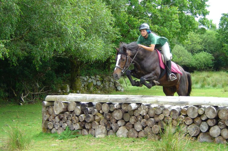 Reiterhof im County Galway