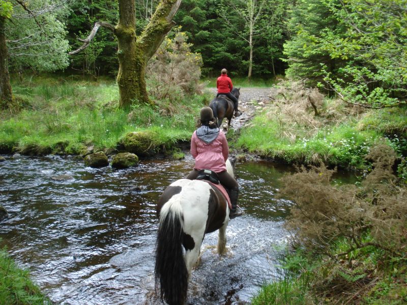 Reiterhof im County Galway