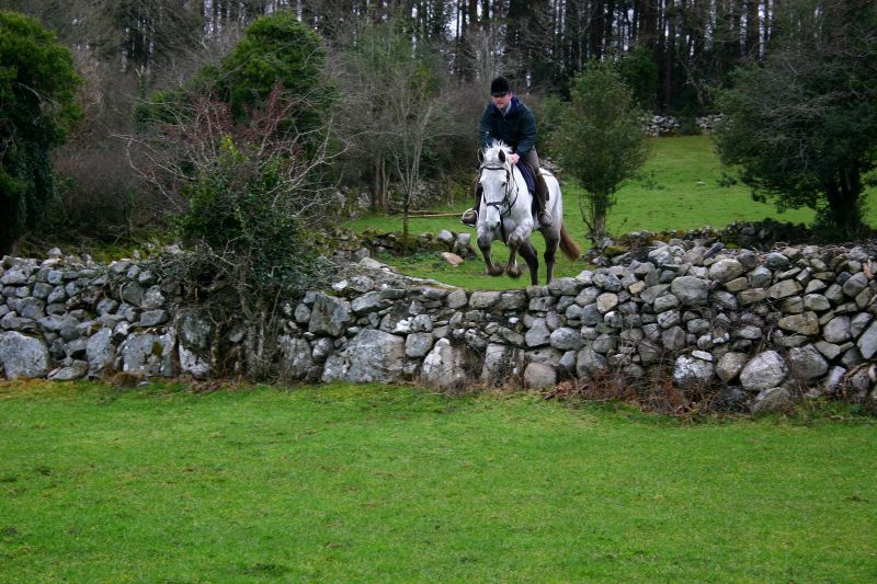 Reiterhof im County Galway