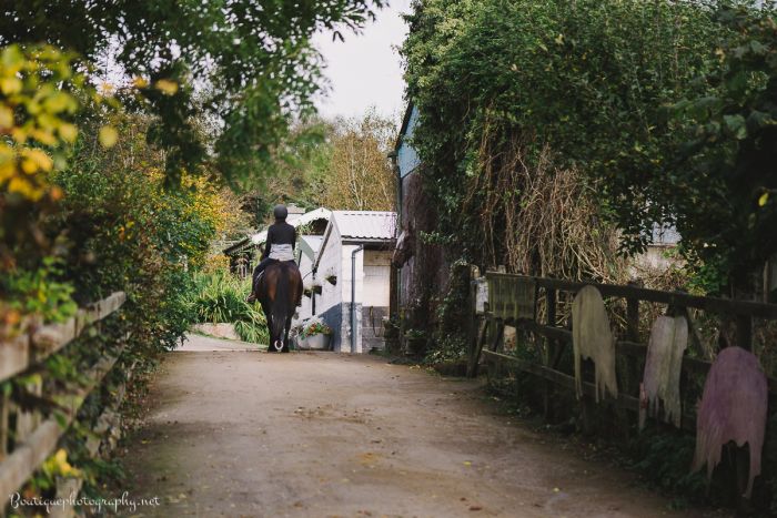 Reiterhof im County Galway