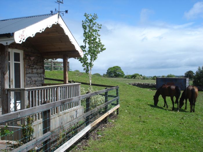 Reiterhof im County Galway