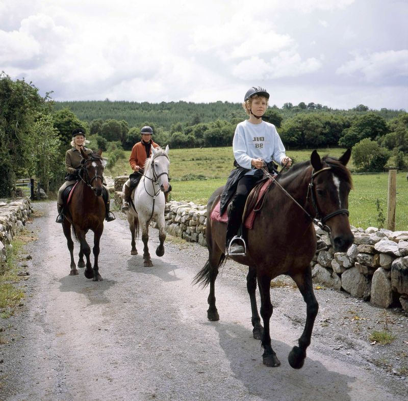 Reiterhof im County Galway