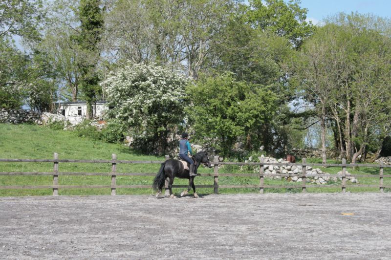 Reiterhof im County Galway