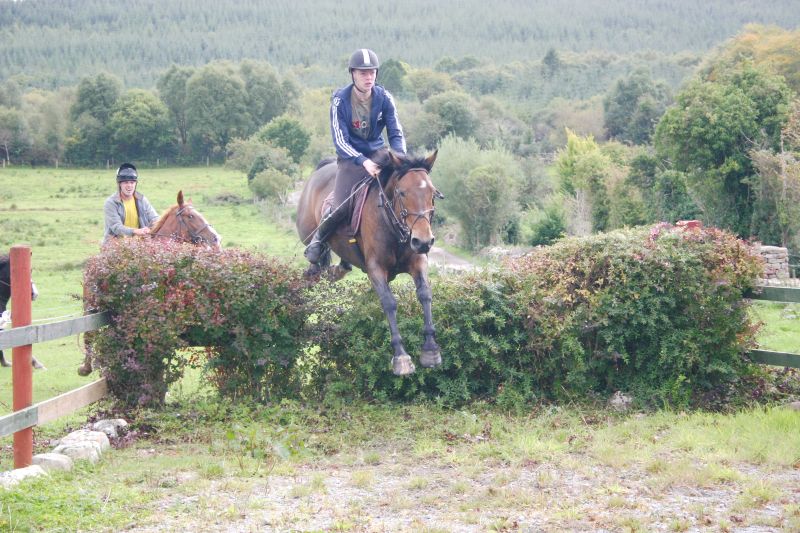 Reiterhof im County Galway