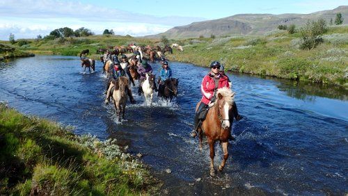 Die Schätze von Borgarfjördur