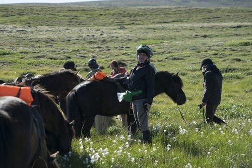 Die Schätze von Borgarfjördur