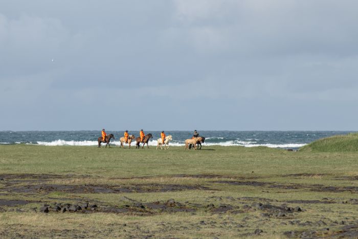 Reykjanes und die Blaue Lagune