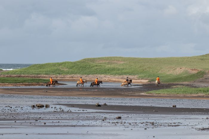 Reykjanes und die Blaue Lagune