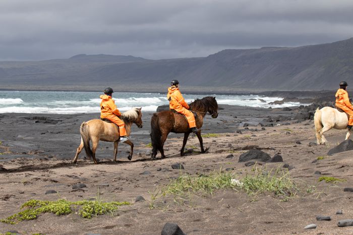 Reykjanes und die Blaue Lagune