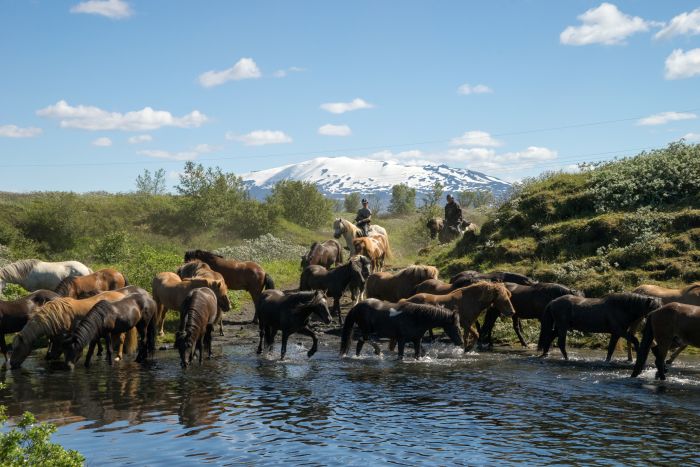 Hekla Wildnis Ritt