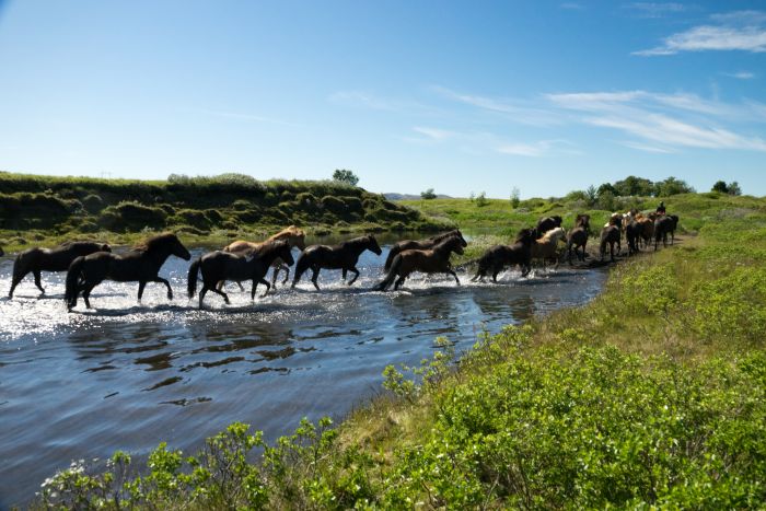 Hekla Wildnis Ritt