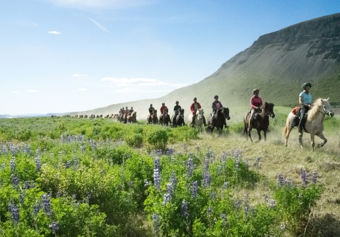 Hekla Wildnis Ritt