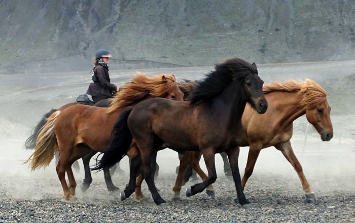 Hekla Wildnis Ritt