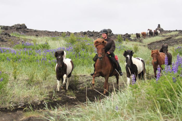 Hekla Wildnis Ritt