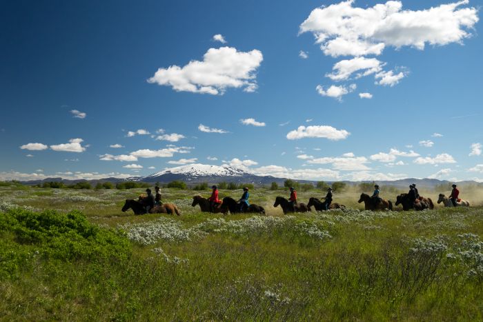 Hekla Wildnis Ritt