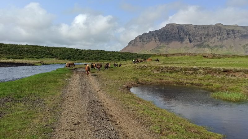 Südisland Ritt - die klassische Tour