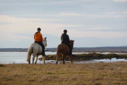 Südisland Exklusiv