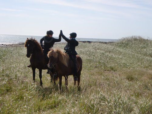 Snaefellsnes Vulkan- und Strandritt