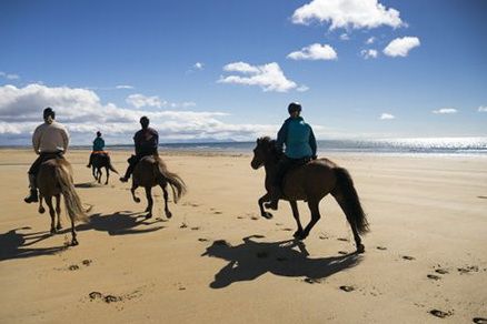 Snaefellsnes Vulkan- und Strandritt