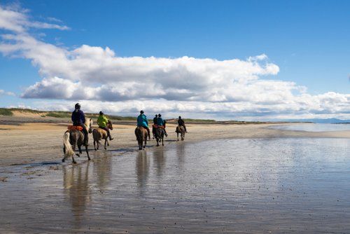 Snaefellsnes Vulkan- und Strandritt