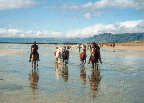 Snaefellsnes Vulkan- und Strandritt