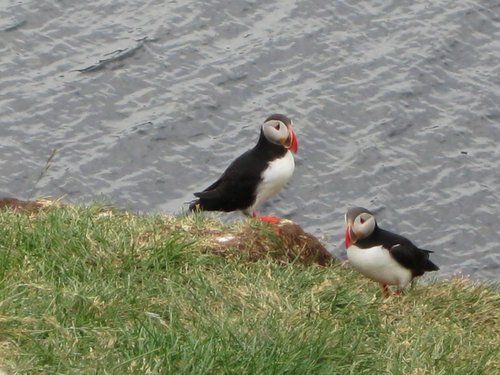 Snaefellsnes Vulkan- und Strandritt