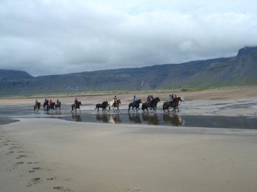 Snaefellsnes Vulkan- und Strandritt