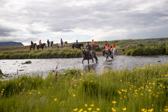 Thingvellir Ritt