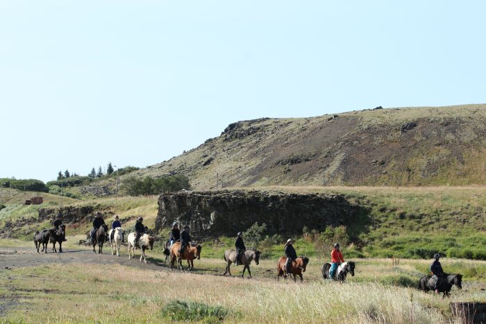 Thingvellir Ritt