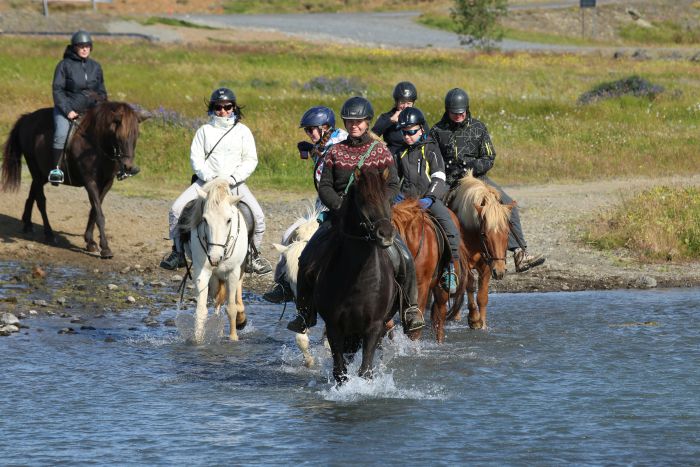 Thingvellir Ritt