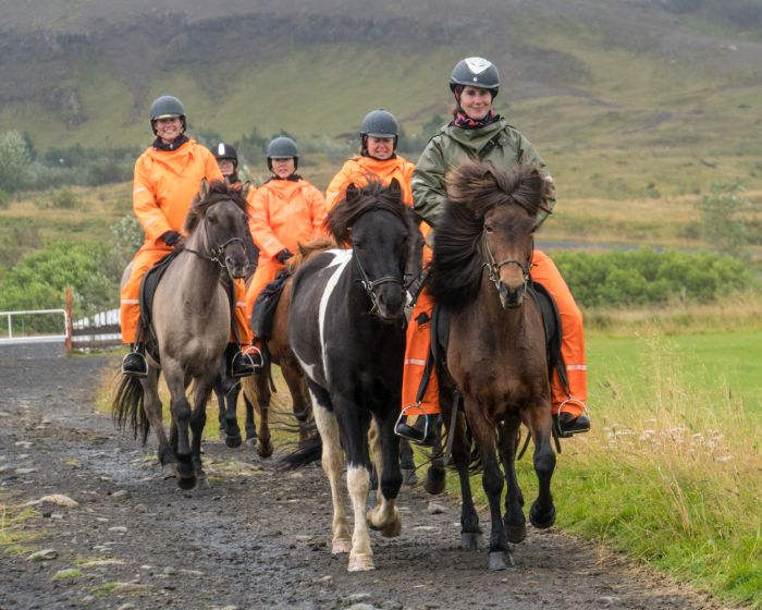 Thingvellir Ritt