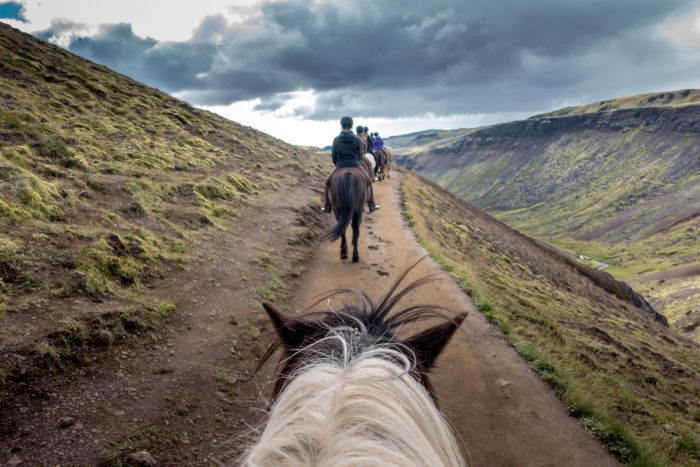 Thingvellir Ritt