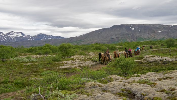 Thingvellir Ritt