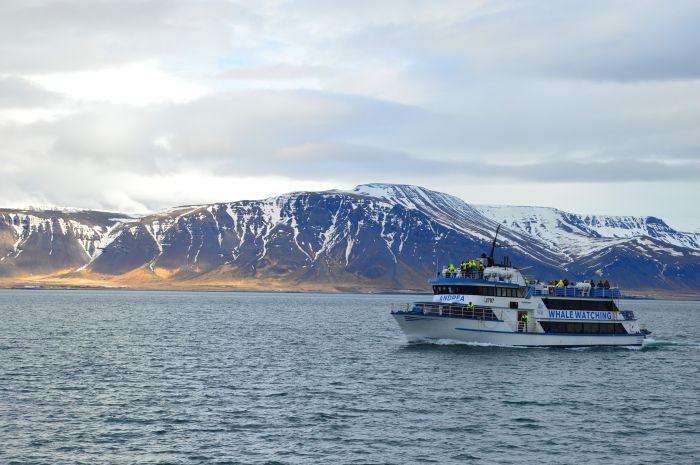 Winterfreuden Islands