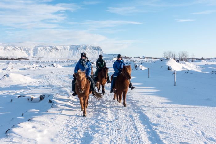 Winterfreuden Islands