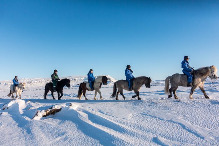 Winterfreuden Islands