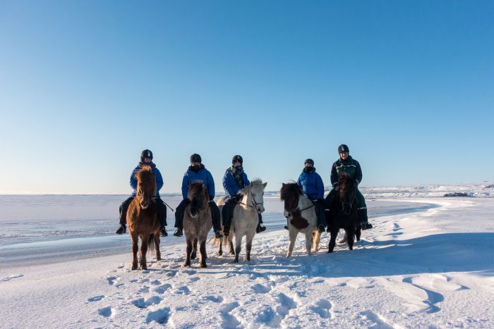 Winterfreuden Islands