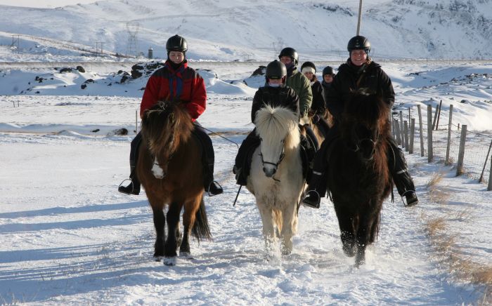 Winterfreuden Islands