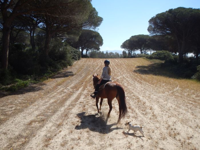 Reiturlaub im Strandresort