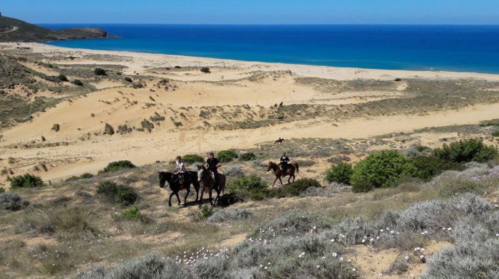 Reiturlaub im Strandresort