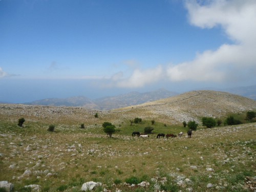 Madonie-Naturpark-Ritt auf Sizilien